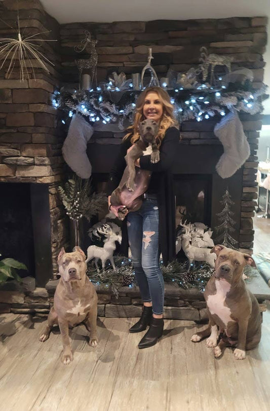 Showtime Kennels: Shaping the Future of American Bully XLs in New York