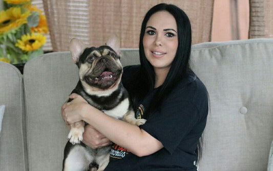 Sunny Florida Frenchies: French Bulldog Breeder in Florida