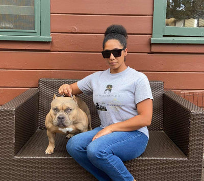 Inside The Bully Zoo: Charise’s Passion for Standard and Pocket American Bullies