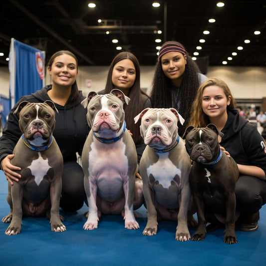 Upcoming 2023 Bully Events Schedule | 11 Tips to Prepare for an ABKC Show
