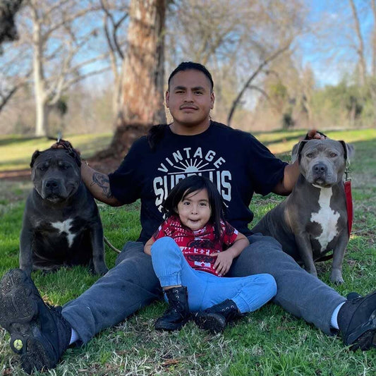 Valley Heat Bulls: Elevating the American Bully XL Breed to New Heights