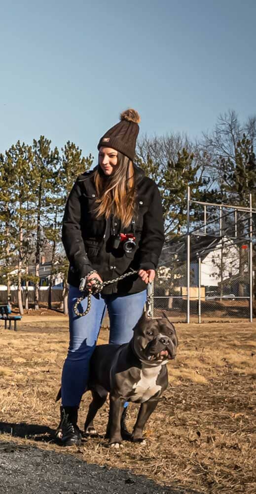 Xena's Legacy Bullies: American Bully Breeder in Massachusetts