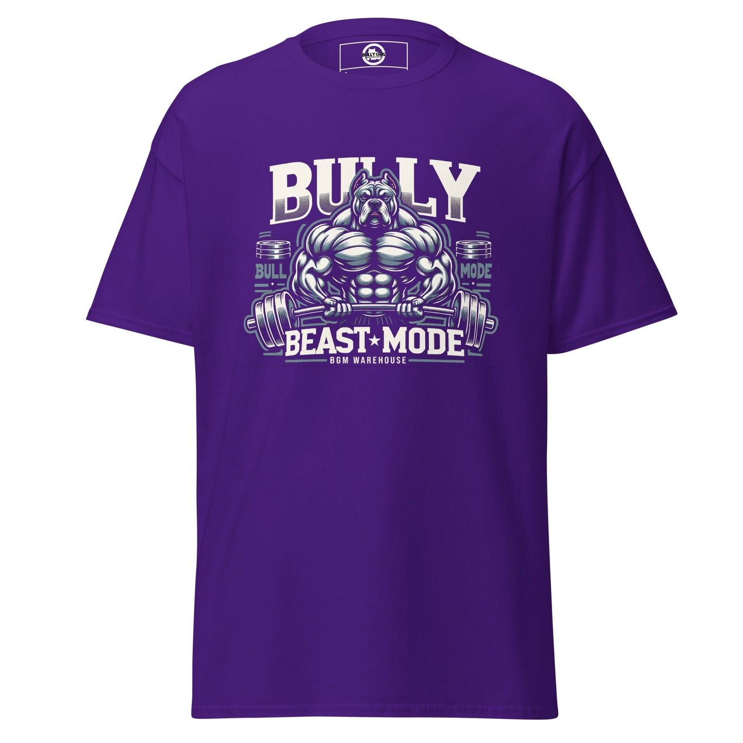 mens-classic-tee-purple-front-653ec789747b6