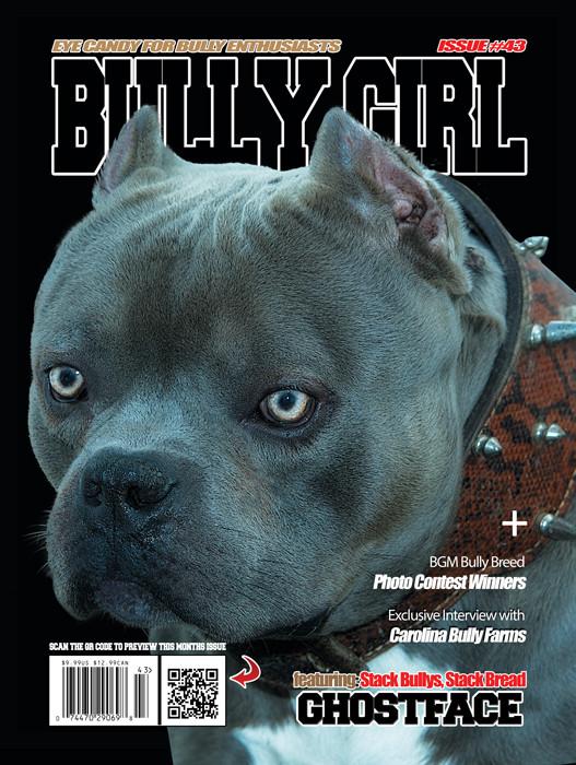 Bully Girl - Digital Issue 43 - BGM Warehouse - The Best Bully Breed Magazines, Clothing and Accessories