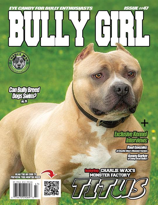 Bully Girl - Digital Issue 47 - BGM Warehouse - The Best Bully Breed Magazines, Clothing and Accessories