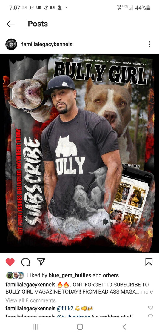 Bully Breed Instagram Page Promotion