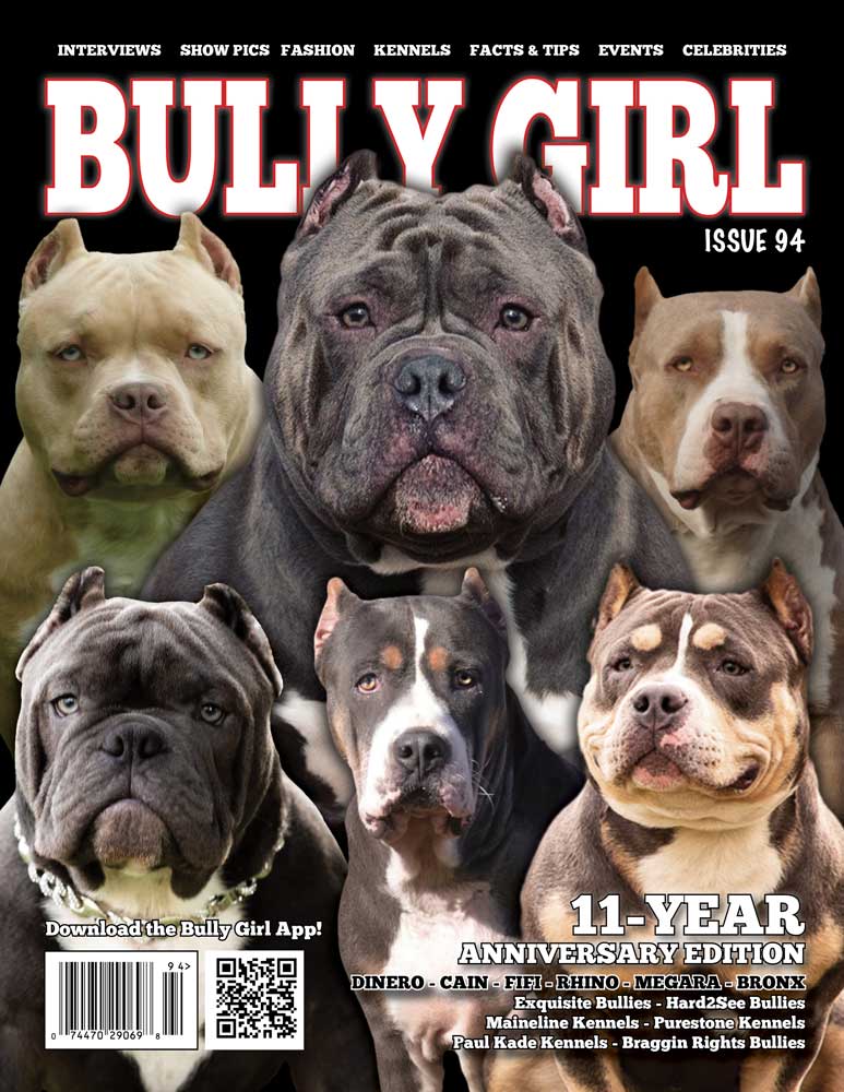 Bully Girl Magazine Issue 100 - 12 Year Anniversary Edition (Last Few  Copies)